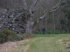 Enlarge photo 44