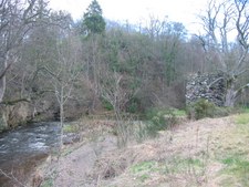 Enlarge photo 45