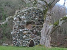 Enlarge photo 47
