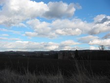 Enlarge photo 50