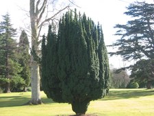 Enlarge photo 57