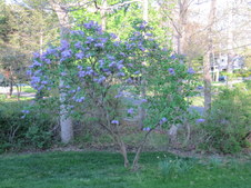 Enlarge photo 12
