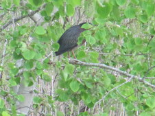 Enlarge photo 13