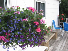 Enlarge photo 24