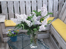 Enlarge photo 27