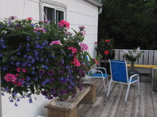 Enlarge photo 5