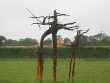 Enlarge photo 11