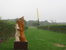 Enlarge photo 17