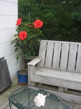 Enlarge photo 5