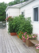 Enlarge photo 6