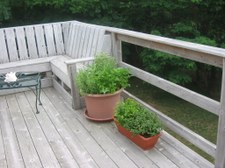 Enlarge photo 7