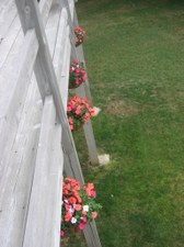 Enlarge photo 12