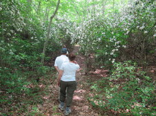 Enlarge photo 18