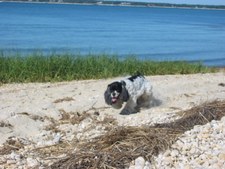 Enlarge photo 4