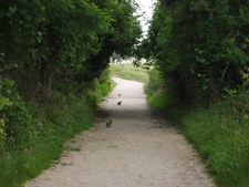Enlarge photo 12