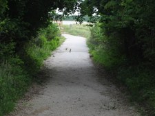 Enlarge photo 13