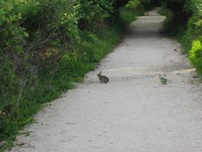 Enlarge photo 22