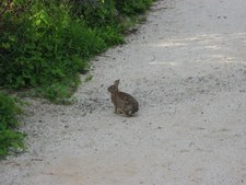Enlarge photo 23