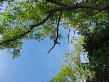Enlarge photo 25