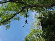 Enlarge photo 26