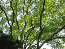 Enlarge photo 27