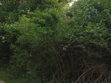Enlarge photo 30