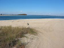 Enlarge photo 18