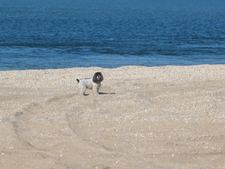 Enlarge photo 19