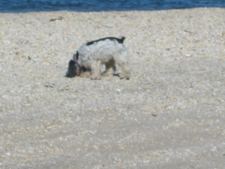 Enlarge photo 21