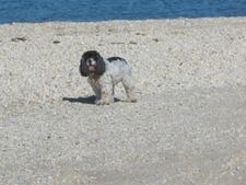 Enlarge photo 4