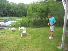 Enlarge photo 7