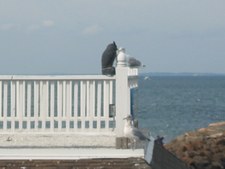 Enlarge photo 14