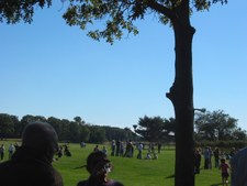 Enlarge photo 18