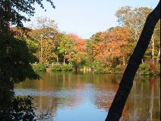 Enlarge photo 25