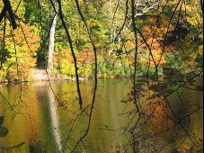 Enlarge photo 27