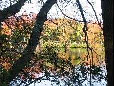 Enlarge photo 28