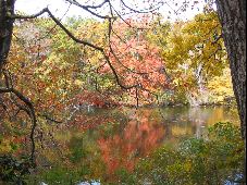 Enlarge photo 29