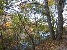 Enlarge photo 30