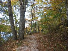 Enlarge photo 31