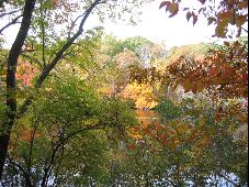 Enlarge photo 33