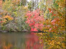 Enlarge photo 35