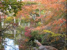 Enlarge photo 36