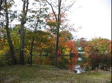 Enlarge photo 37