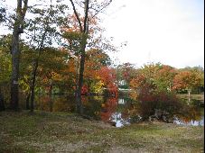 Enlarge photo 38