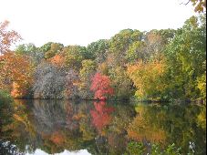 Enlarge photo 39