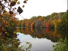 Enlarge photo 40