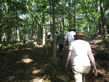 Enlarge photo 1