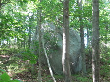 Enlarge photo 10