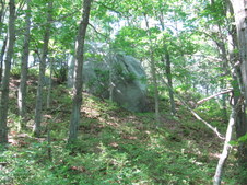 Enlarge photo 12