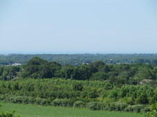 Enlarge photo 19